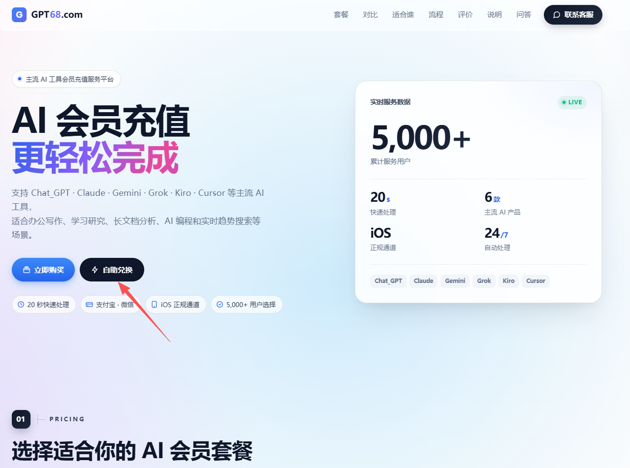 ChatGPT Plus 充值图文教程 第2步:进入自助充值界面
